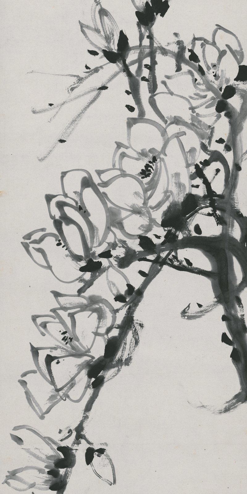 Magnolia blossoms on a branch, brush and ink &mdash; Wu Changshuo, 1912 (detail)