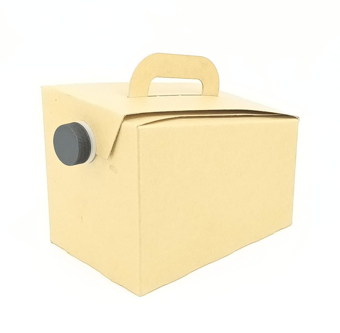Kraft bag-in-box with dispensing tap